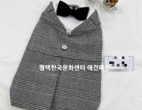 애견패션/ 애견옷만들기


견종별 맞춤 패턴으로
사랑스런 반려견 옷을 직접 만들어 주세요


매주 수, 목요일
2급자겨증반, 1급자격증반, 취미반 등등
일대일 개인진도로 진행됩니다.